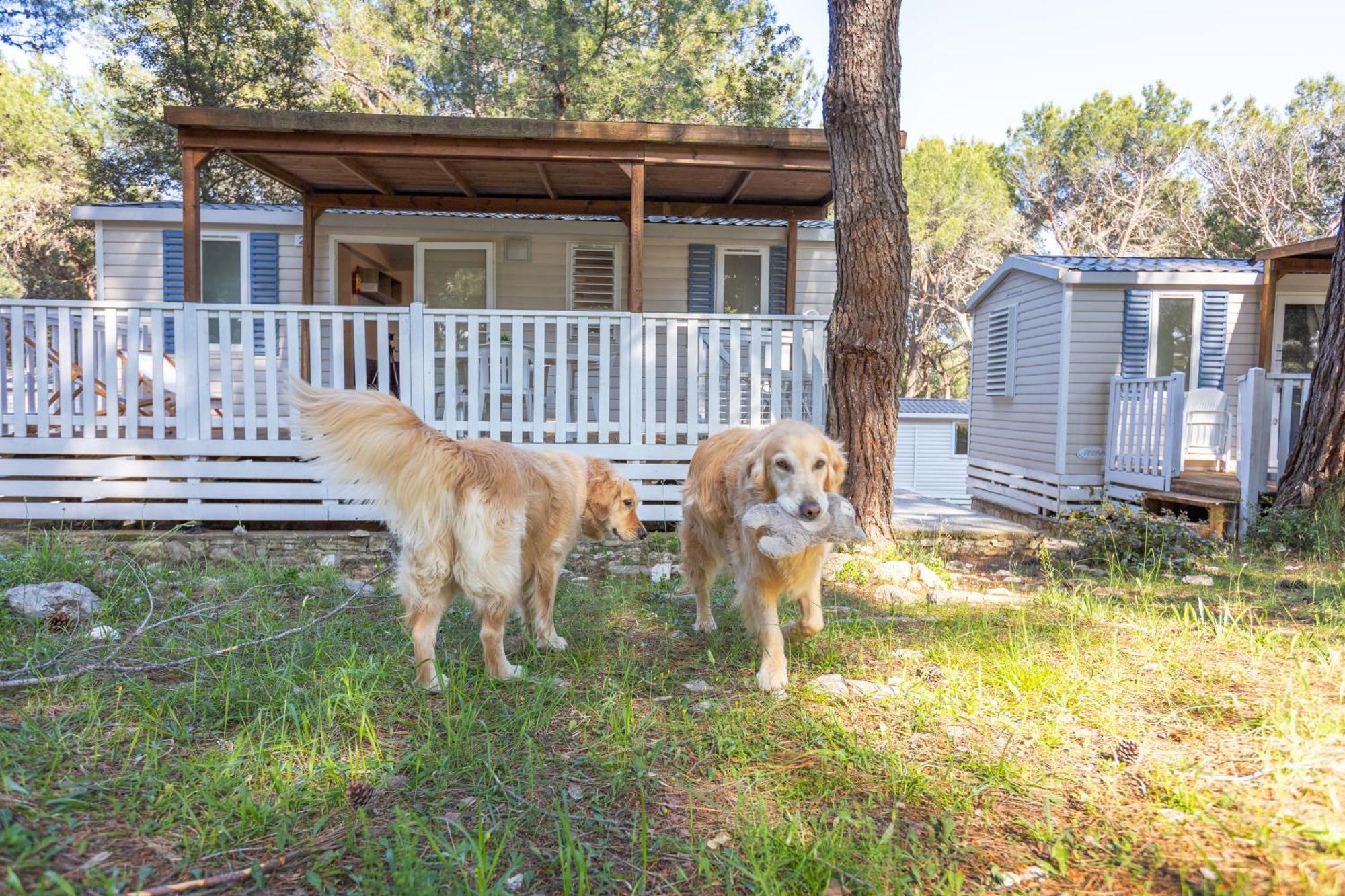Mobile Homes Pine Sea Banjole Exterior photo